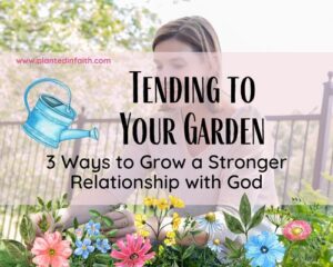 Tending to Your Garden: 3 Ways to Grow a Stronger Relationship with god