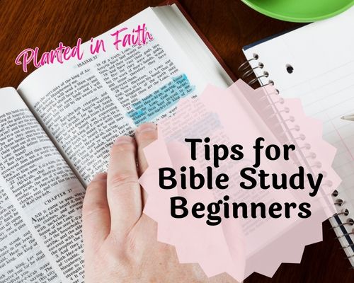 Woman reading Bible - Tips for Bible Study Beginners