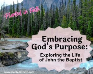 Embracing God’s Purpose: exploring the Life of John the Baptist